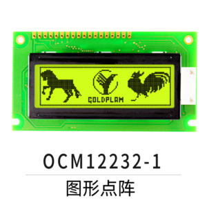 OCM12232-1