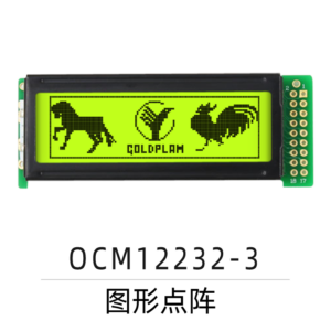 OCM12232-3